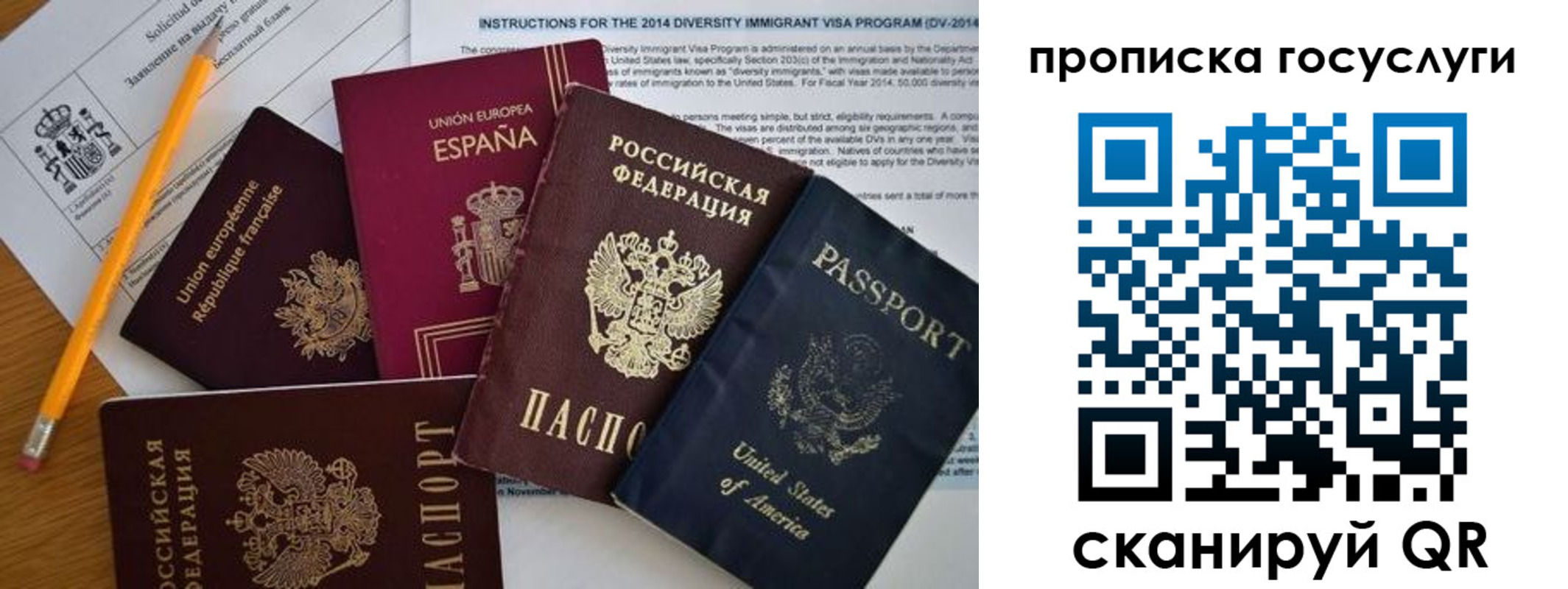 прописка гарантия в Ковдоре
